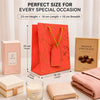 Premium PINK Glitter Gift Bag 23×18×10 cm | Metallic Paper Gift Bag with Gold Foiling Design, Rope Handle & Tag | Reusable Luxury Gift Bag for Birthday, Wedding, Anniversary & Festive Gifting (Copy) (Copy)