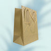 IZELS Premium Luxury Paper Gift Bags-light Green